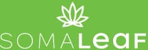 logotype in footer